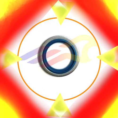 واشر تفلن دار 1/2